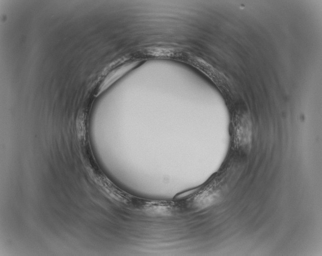 X0000081600620200702051331