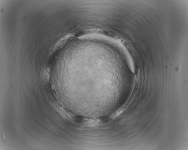 X0000081600621200702051331