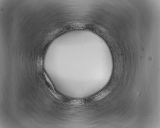 X0000081600624200702051331