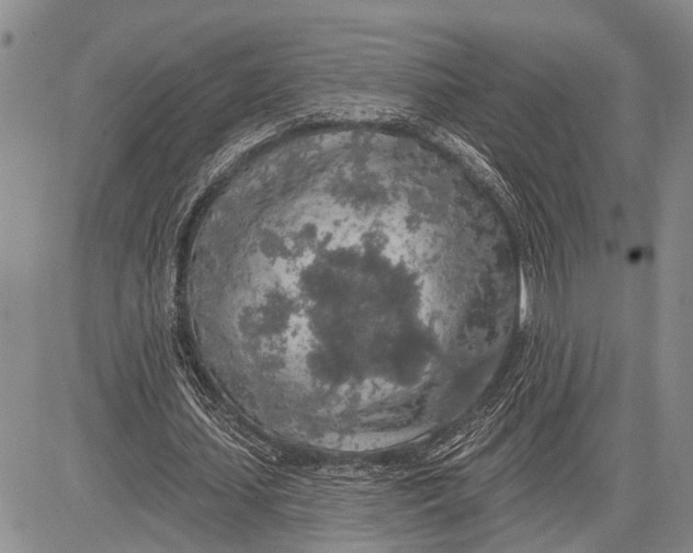 X0000081600627200702051330