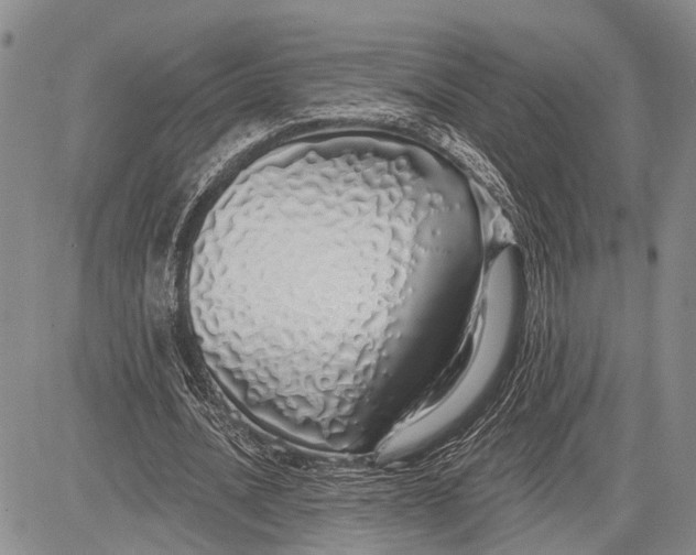 X0000081600628200702051330