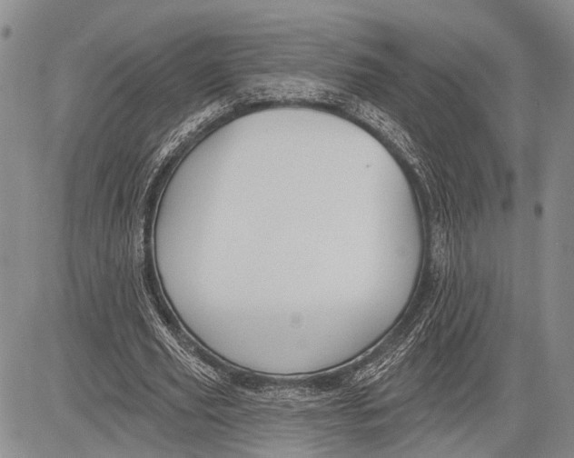 X0000081600629200702051330