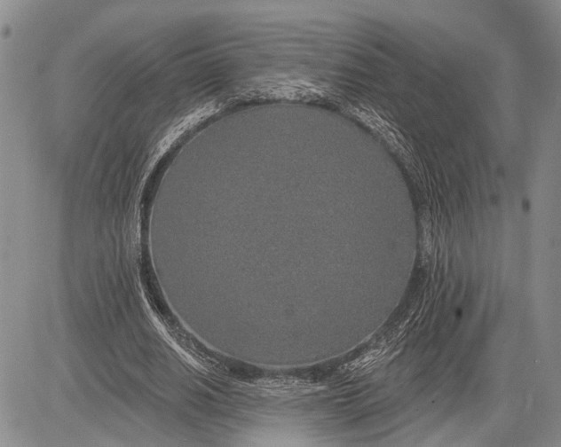 X0000081600630200702051330