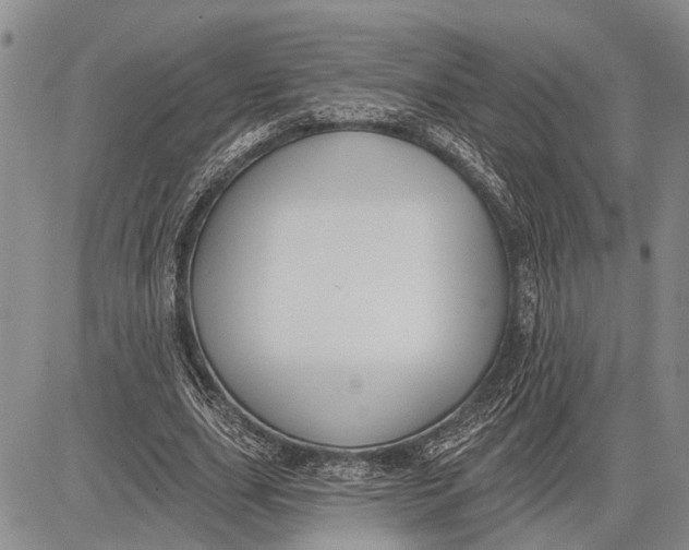 X0000081600631200702051330