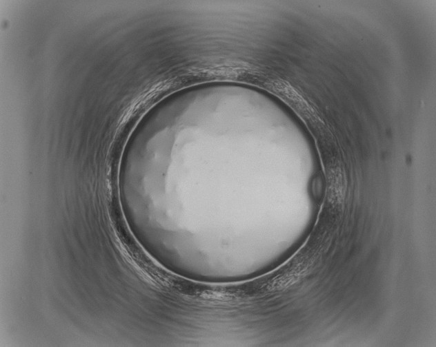 X0000081600634200702051330