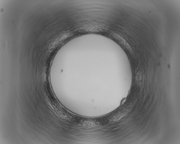 X0000081600635200702051330