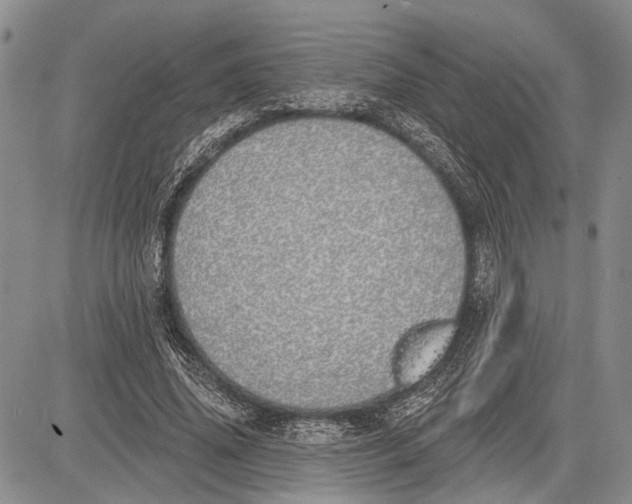 X0000081600636200702051330