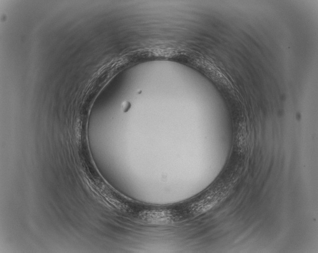 X0000081600639200702051330