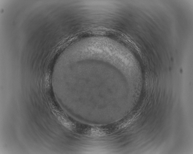 X0000081600641200702051330