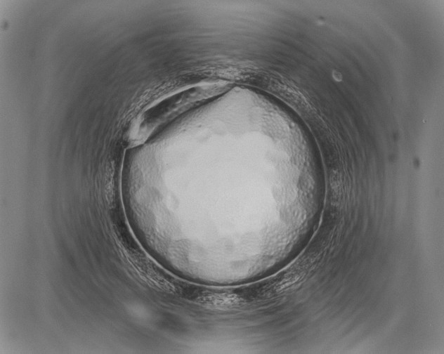 X0000081600642200702051330