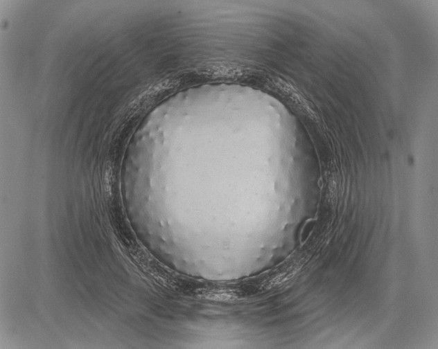 X0000081600643200702051330