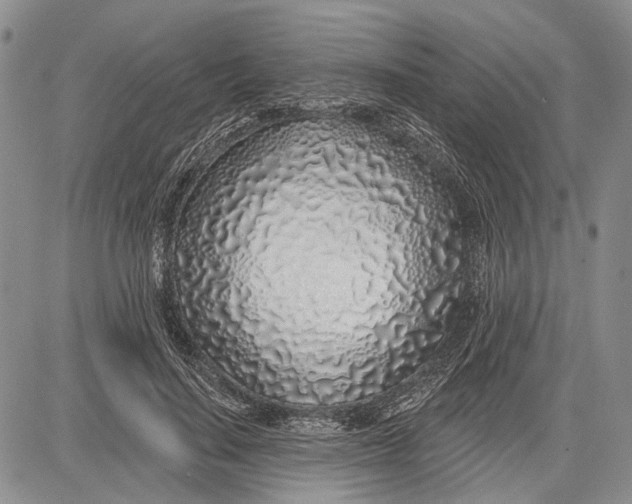 X0000081600644200702051330