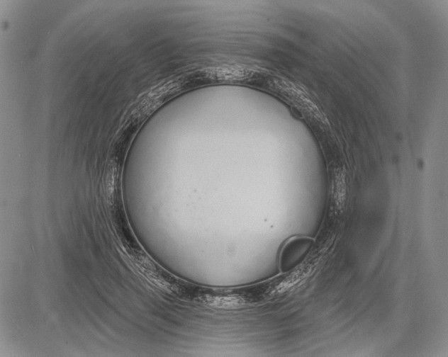 X0000081600645200702051330