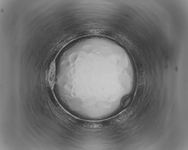 X0000081600646200702051330