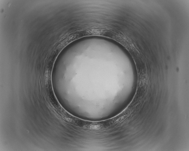 X0000081600647200702051330