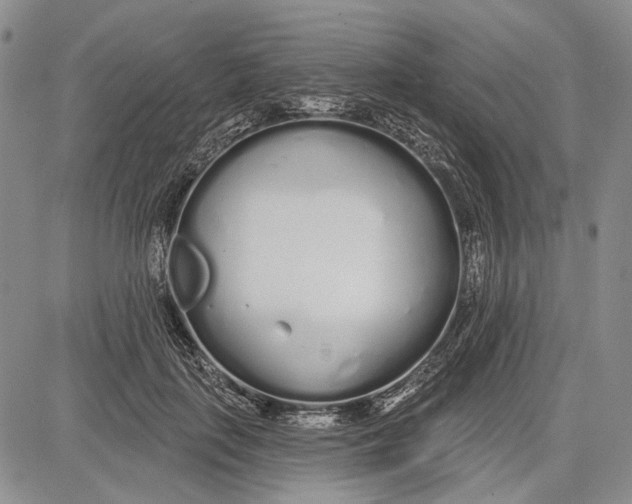 X0000081600651200702051330