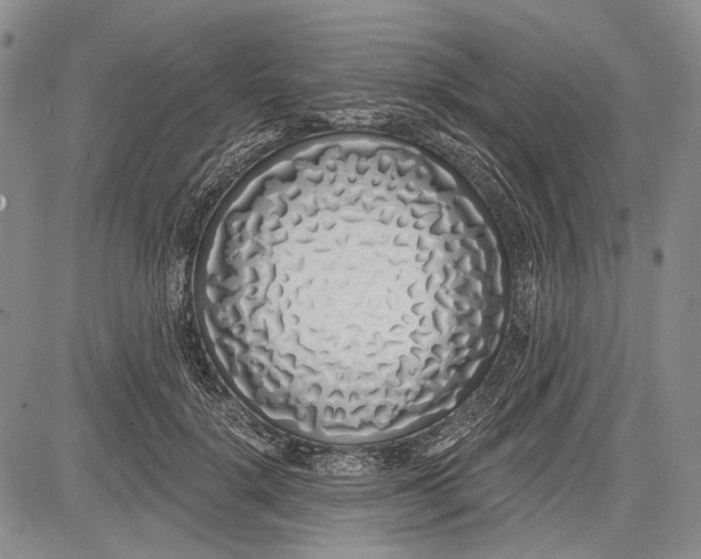 X0000081600652200702051330