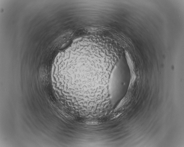 X0000081600653200702051330