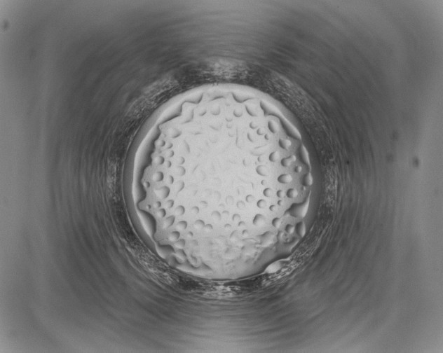 X0000081600656200702051330