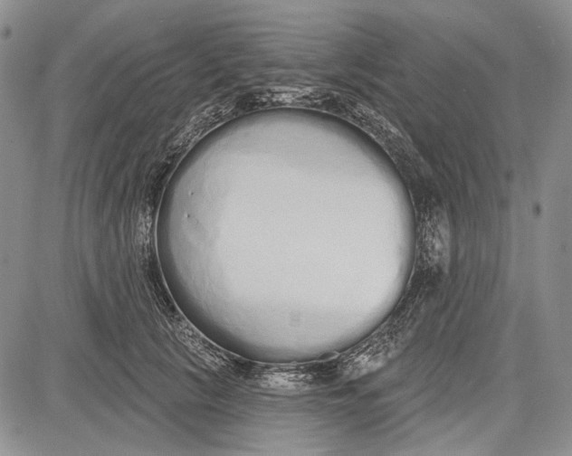 X0000081600657200702051330