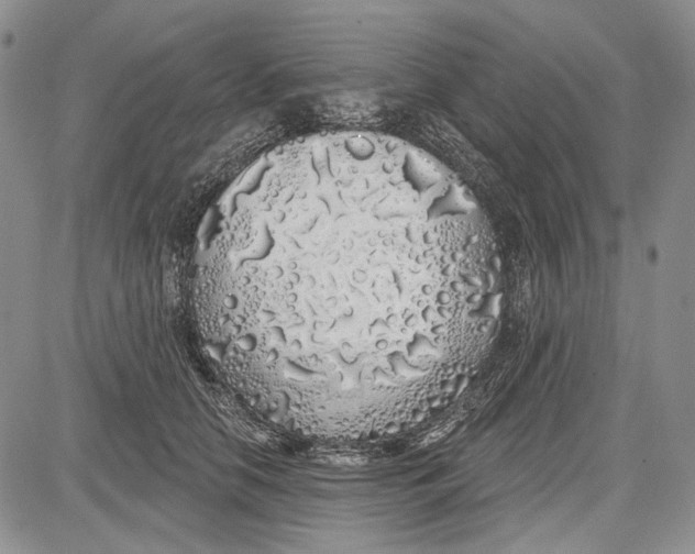 X0000081600658200702051330