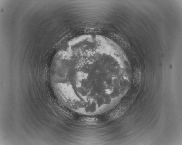 X0000081600659200702051330