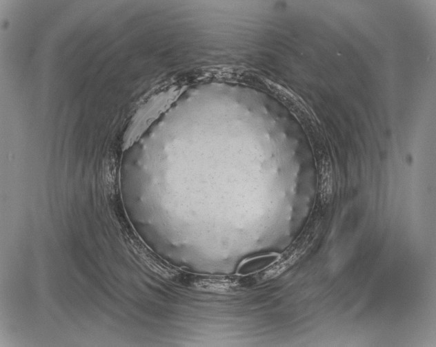 X0000081600661200702051330