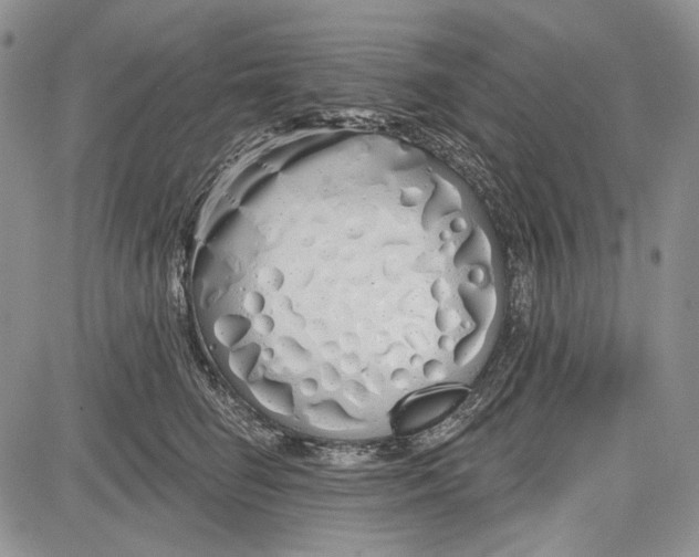 X0000081600662200702051330