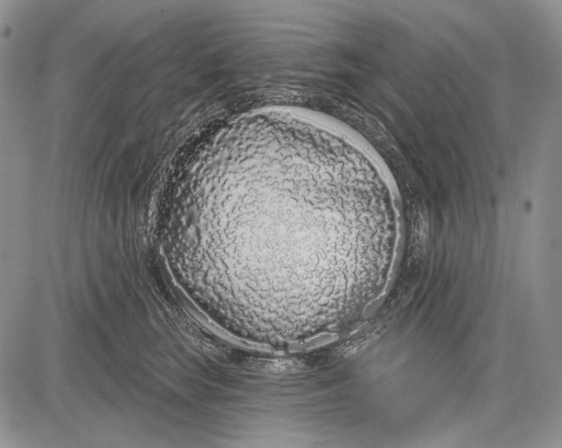 X0000081600663200702051330