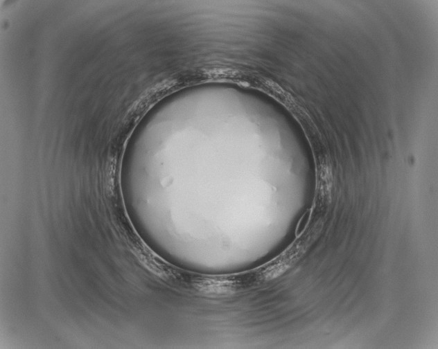 X0000081600664200702051330