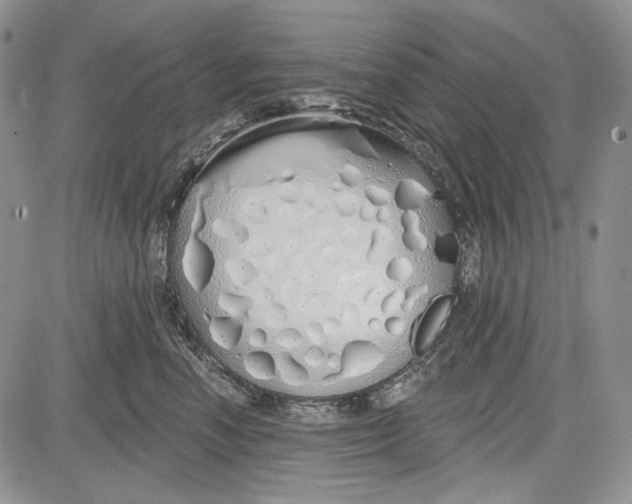 X0000081600666200702051331