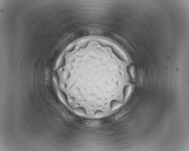 X0000081600667200702051331