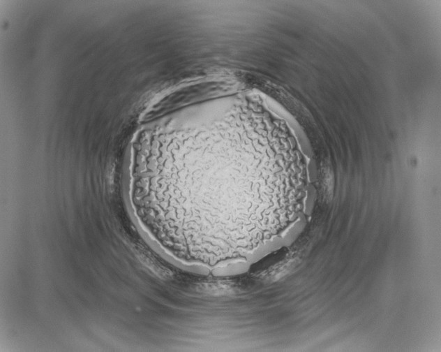 X0000081600668200702051331