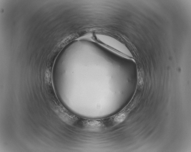 X0000081600669200702051331