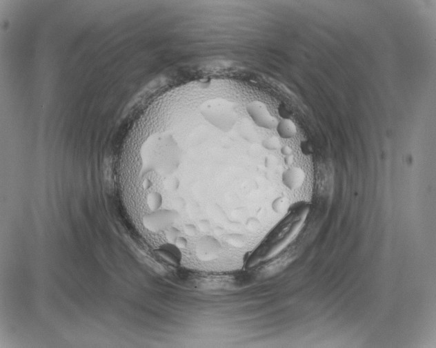 X0000081600670200702051331