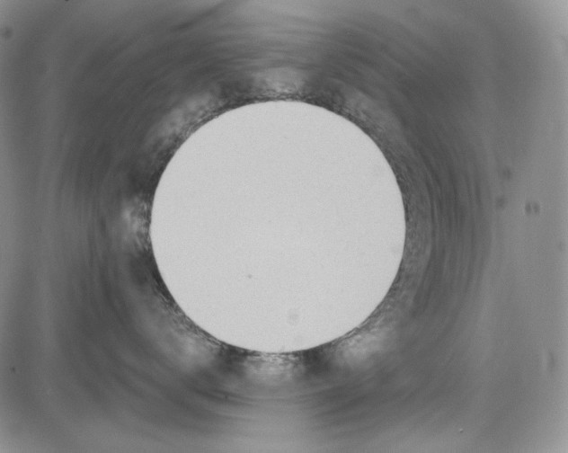 X0000081600672200702051331