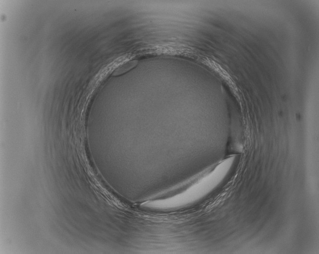 X0000081600673200702051330