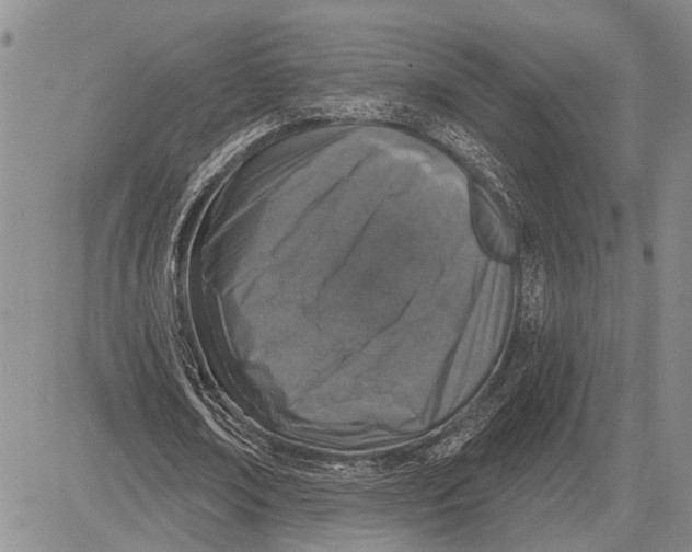 X0000081600674200702051330