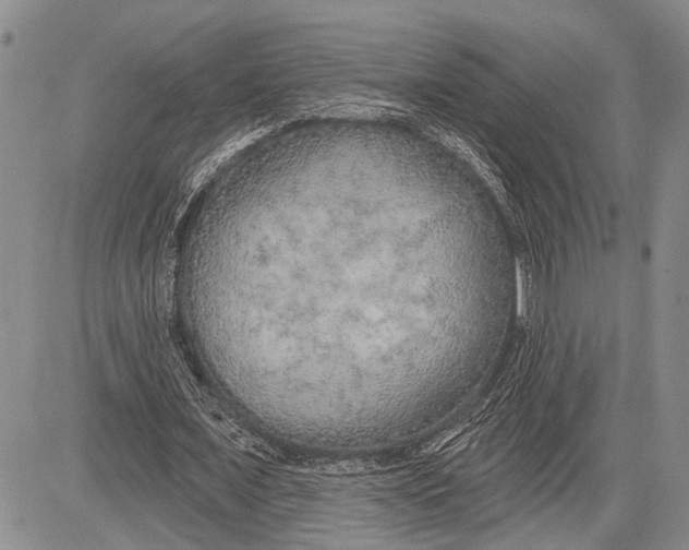 X0000081600675200702051330