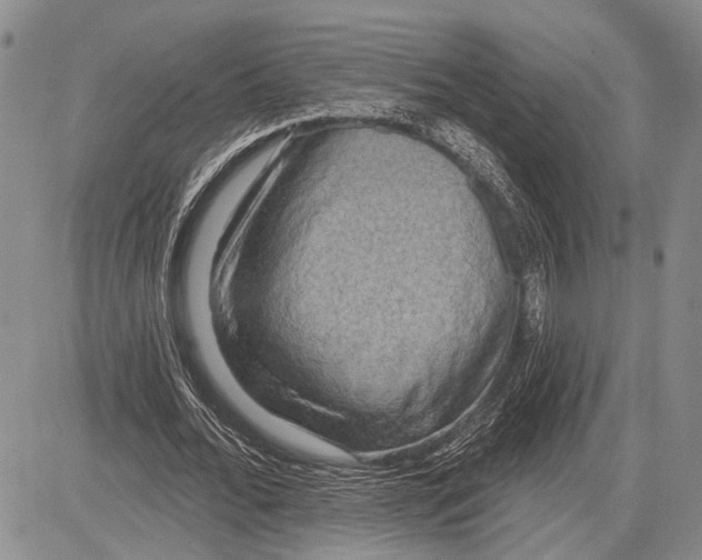 X0000081600676200702051330