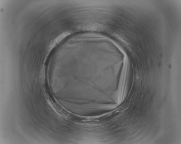 X0000081600678200702051330