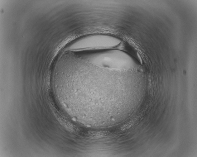 X0000081600679200702051330