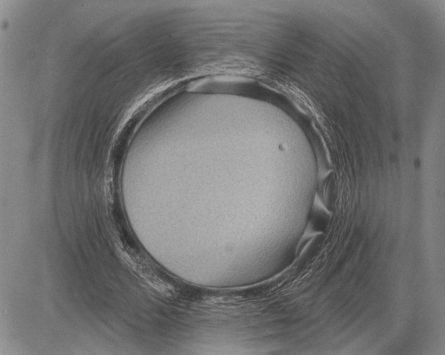 X0000081600680200702051330