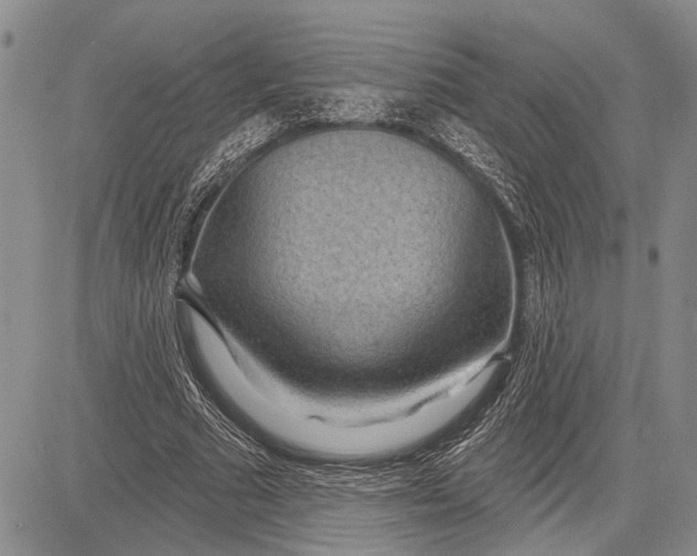 X0000081600681200702051330