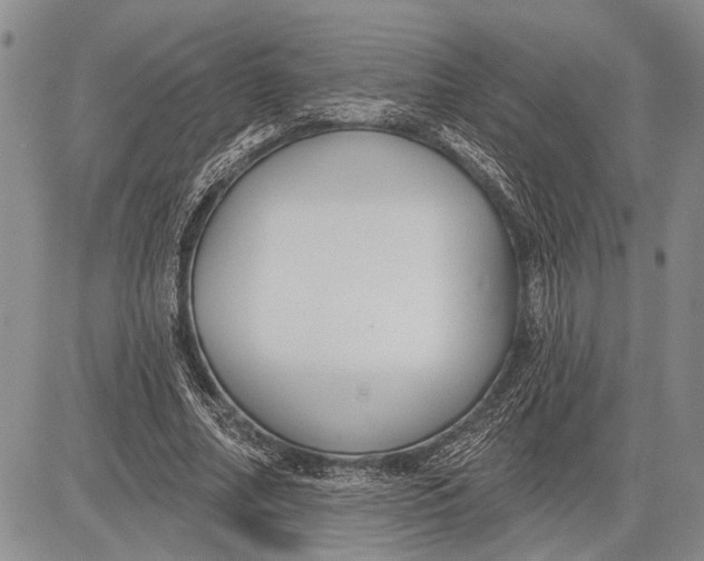 X0000081600682200702051330