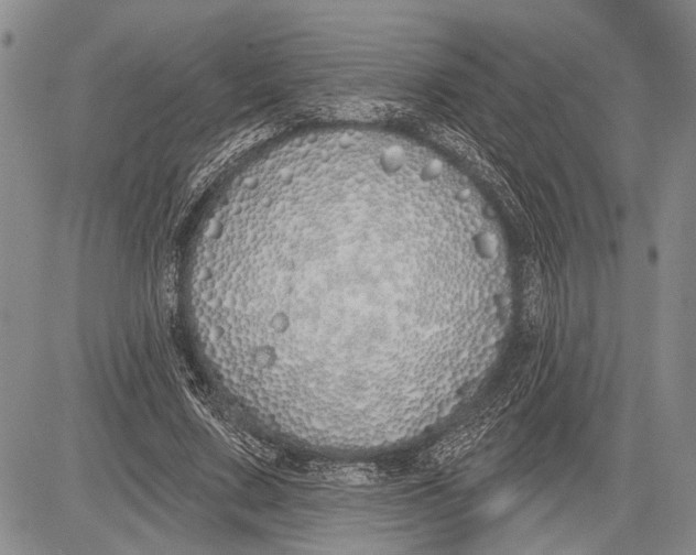 X0000081600683200702051330