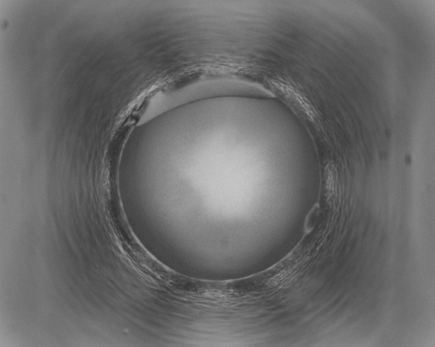 X0000081600684200702051330