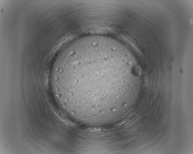 X0000081600687200702051330