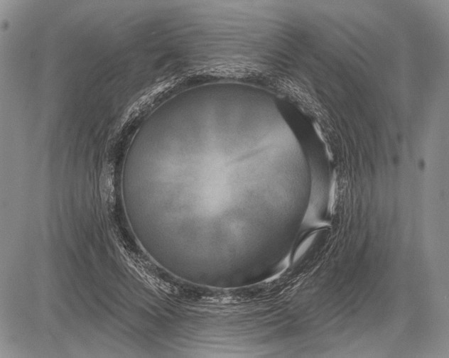 X0000081600688200702051330