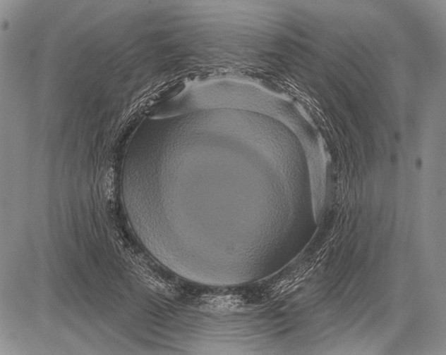 X0000081600689200702051330